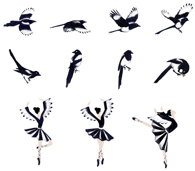 130813_freedom_magpie-dancer